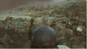[Image: %5BBLEEP%5D+I+know+you+didn+t+just+call+Djim...df3be8.gif]